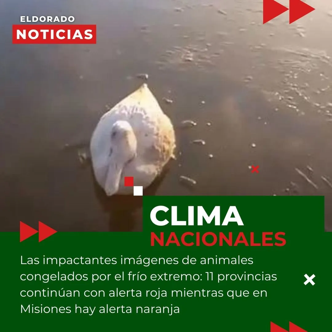 Publicación de Instagram de Noticias en Verde Rojo Blanco Noticias Genéricas Noticias Generales (5)
